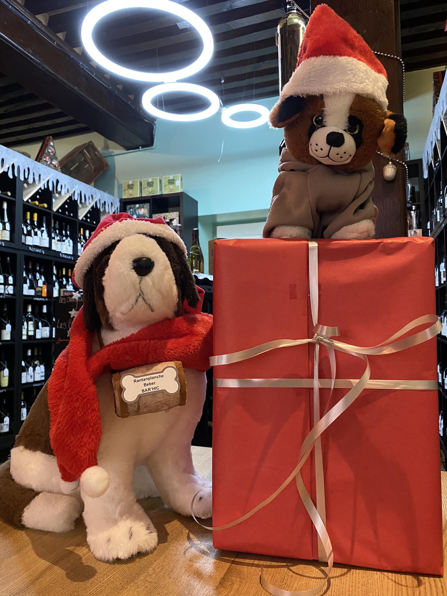 You are currently viewing 25/12/2024